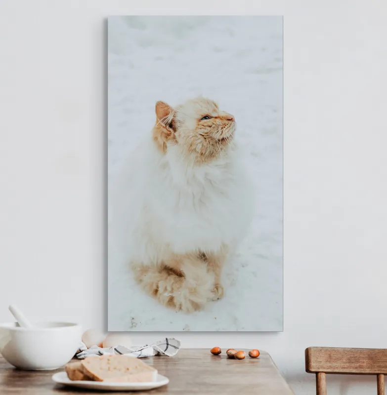 Tablou Canvas, "Pisica pufoasă pe zăpadă albă", Pisică, Fluffy, Albă, Zăpadă, Blană, Frig, Curioasă, Frumoasă, 50 x 90 cm – poza 3