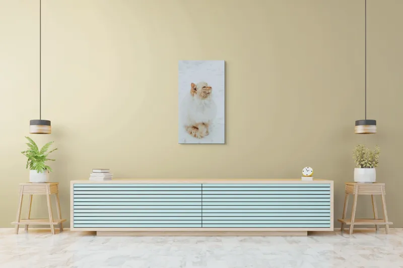 Tablou Canvas, "Pisica pufoasă pe zăpadă albă", Pisică, Fluffy, Albă, Zăpadă, Blană, Frig, Curioasă, Frumoasă, 50 x 90 cm – poza 6