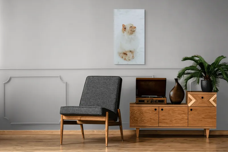 Tablou Canvas, "Pisica pufoasă pe zăpadă albă", Pisică, Fluffy, Albă, Zăpadă, Blană, Frig, Curioasă, Frumoasă, 50 x 90 cm – poza 8