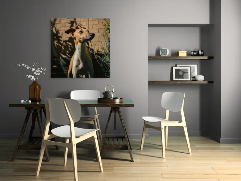 Tablou Canvas, "Câinele în grădină de lavandă", Flori, Caine, Perete, Umbra, Soare, Vegetatie, Privire, Ceas, Verde, Exterior, 100 x 100 cm – poza 6