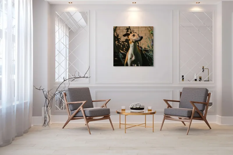 Tablou Canvas, "Câinele în grădină de lavandă", Flori, Caine, Perete, Umbra, Soare, Vegetatie, Privire, Ceas, Verde, Exterior, 100 x 100 cm – poza 7