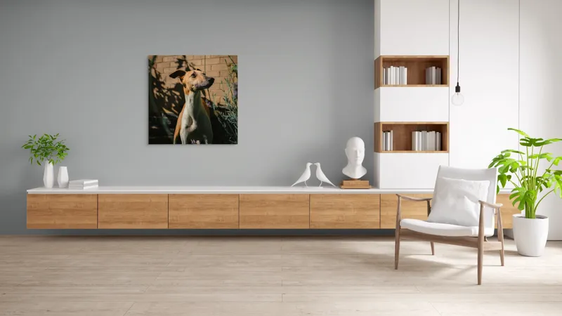 Tablou Canvas, "Câinele în grădină de lavandă", Flori, Caine, Perete, Umbra, Soare, Vegetatie, Privire, Ceas, Verde, Exterior, 100 x 100 cm – poza 8