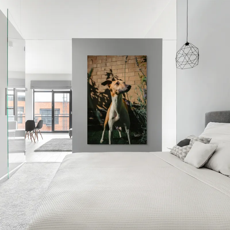 Tablou Canvas, "Câinele în grădină de lavandă", Flori, Caine, Perete, Umbra, Soare, Vegetatie, Privire, Ceas, Verde, Exterior, 100 x 150 cm – poza 5