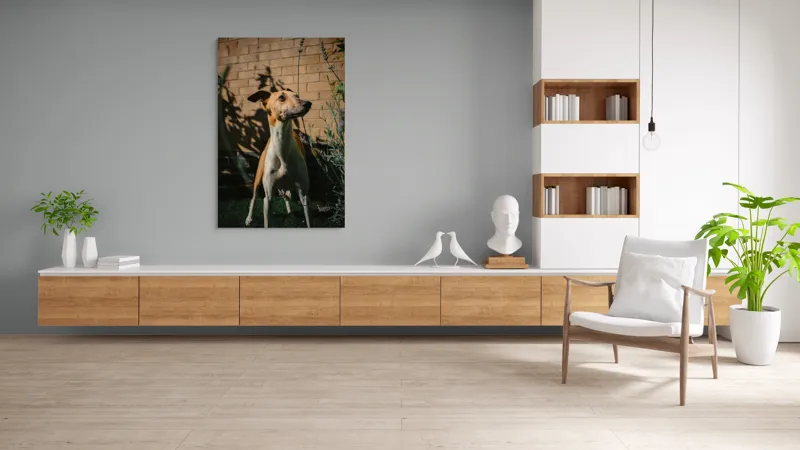 Tablou Canvas, "Câinele în grădină de lavandă", Flori, Caine, Perete, Umbra, Soare, Vegetatie, Privire, Ceas, Verde, Exterior, 100 x 150 cm – poza 8