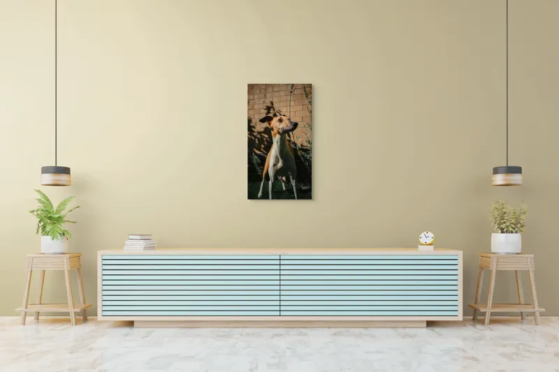 Tablou Canvas, "Câinele în grădină de lavandă", Flori, Caine, Perete, Umbra, Soare, Vegetatie, Privire, Ceas, Verde, Exterior, 50 x 90 cm – poza 6