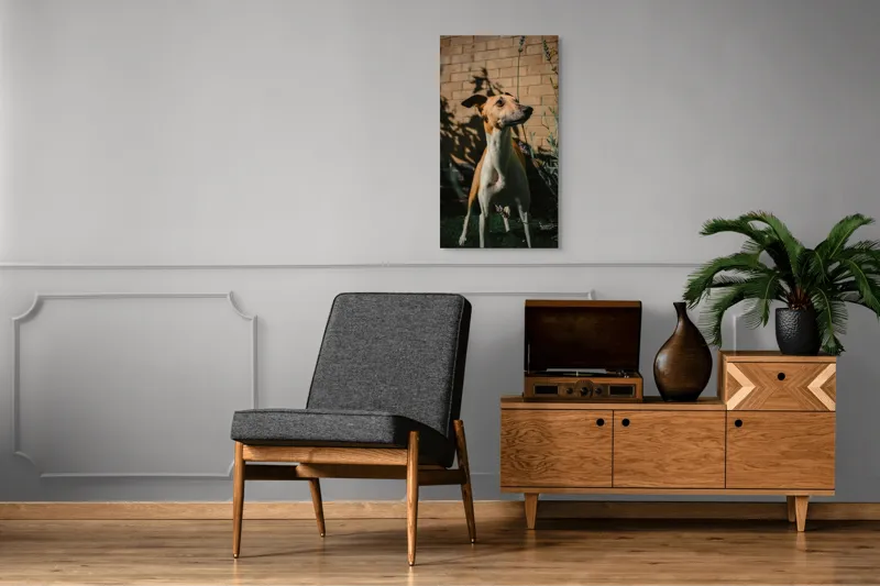 Tablou Canvas, "Câinele în grădină de lavandă", Flori, Caine, Perete, Umbra, Soare, Vegetatie, Privire, Ceas, Verde, Exterior, 50 x 90 cm – poza 8