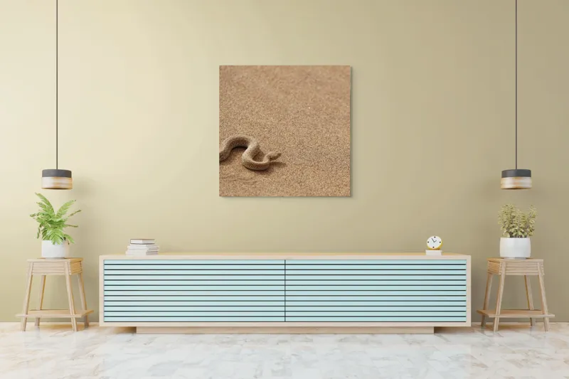 Tablou Canvas, "Șarpe ascuns în nisipul deșertului", Șarpe, Nisip, Deșert, Culoare, Textură, Sinuos, Natural, Peisaj, 100 x 100 cm – poza 5
