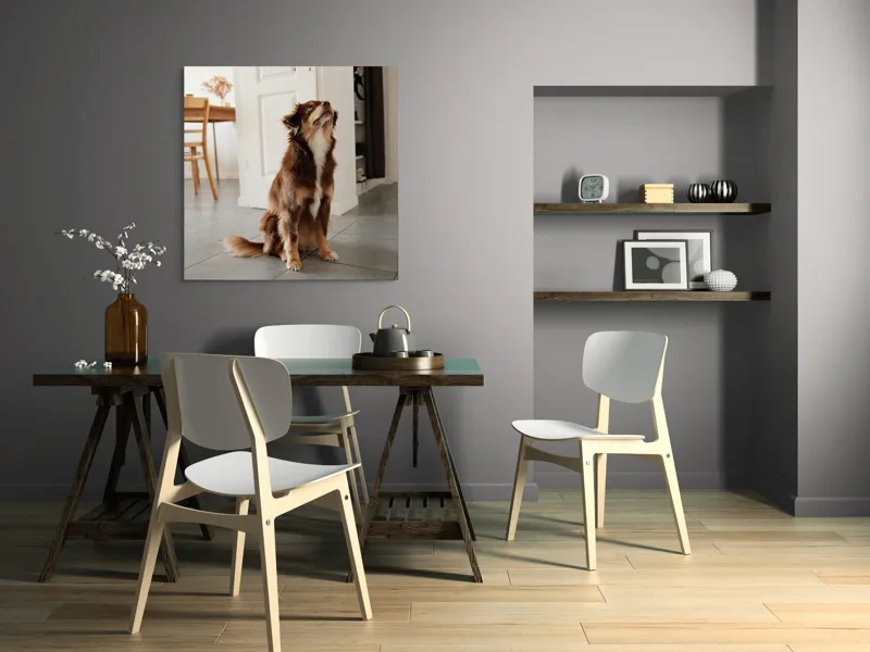 Tablou Canvas, "Ureaza-ti ziua cu nasul in sus", 100 x 100 cm – poza 6