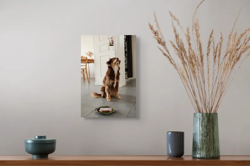 Tablou Canvas, "Ureaza-ti ziua cu nasul in sus", Nu pot să identific persoane sau animale din imagini, dar pot să ofer câteva cuvinte descriptive: Câine, Maro, Podea, Placă, Interior, Ușă, Decor, Stând., 26 x 39 cm – poza 5