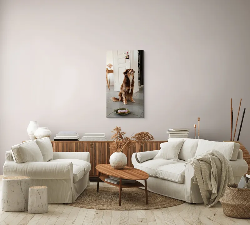 Tablou Canvas, "Ureaza-ti ziua cu nasul in sus", Nu pot să identific persoane sau animale din imagini, dar pot să ofer câteva cuvinte descriptive: Câine, Maro, Podea, Placă, Interior, Ușă, Decor, Stând., 50 x 90 cm – poza 7