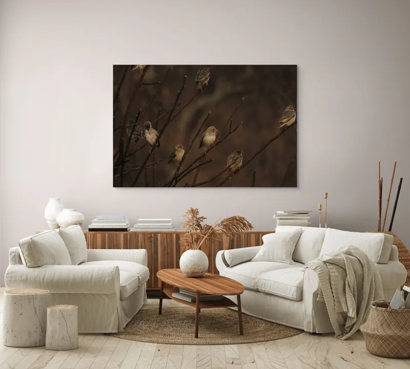 Tablou Canvas, "Cântul păsărilor la apusul soarelui", Păsări, Ramuri, Toamnă, Penaj, Natură, Apus, Siluete, Răcoare, 150 x 100 cm – poza 3