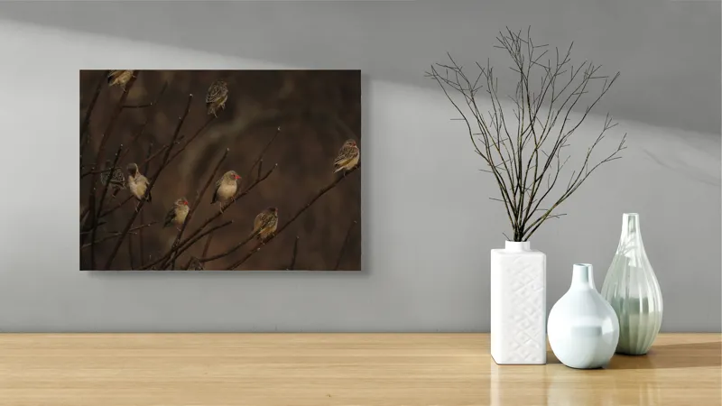 Tablou Canvas, "Cântul păsărilor la apusul soarelui", Păsări, Ramuri, Toamnă, Penaj, Natură, Apus, Siluete, Răcoare, 54 x 39 cm – poza 3