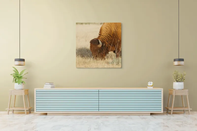 Tablou Canvas, "Bizon pășunând în savana uscată", Bizon, Câmpie, Blană, Corn, Iarbă, 100 x 100 cm – poza 5