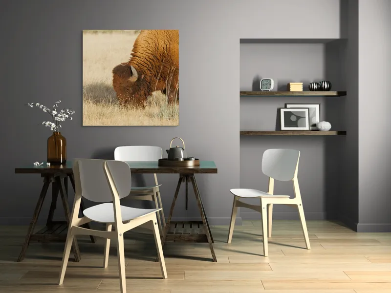 Tablou Canvas, "Bizon pășunând în savana uscată", Bizon, Câmpie, Blană, Corn, Iarbă, 100 x 100 cm – poza 6