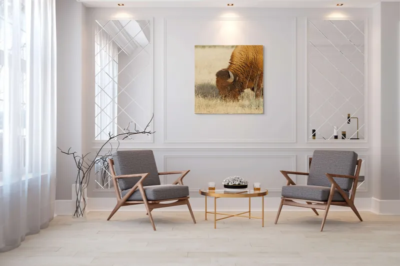Tablou Canvas, "Bizon pășunând în savana uscată", Bizon, Câmpie, Blană, Corn, Iarbă, 100 x 100 cm – poza 7