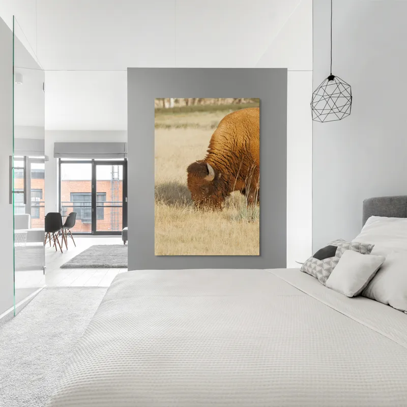 Tablou Canvas, "Bizon pășunând în savana uscată", Bizon, Câmpie, Blană, Corn, Iarbă, 100 x 150 cm – poza 5