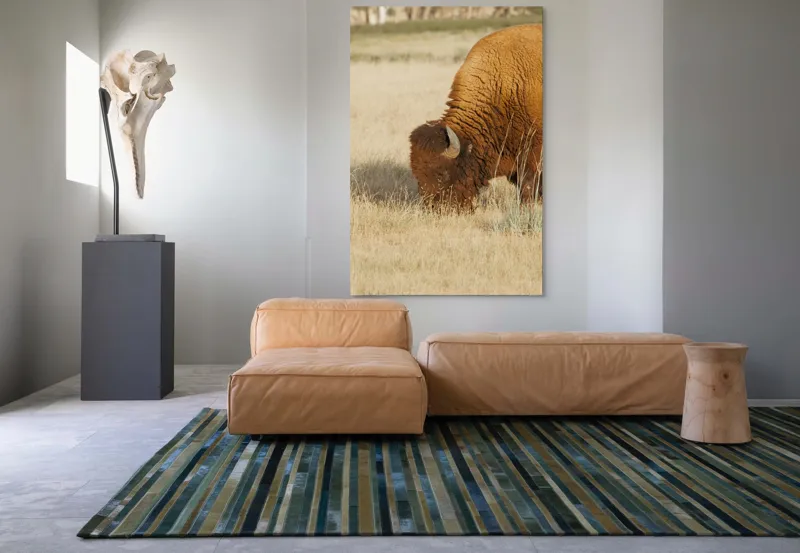 Tablou Canvas, "Bizon pășunând în savana uscată", Bizon, Câmpie, Blană, Corn, Iarbă, 100 x 150 cm – poza 7