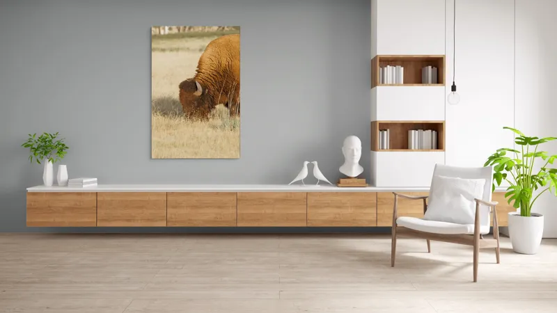 Tablou Canvas, "Bizon pășunând în savana uscată", Bizon, Câmpie, Blană, Corn, Iarbă, 100 x 150 cm – poza 8