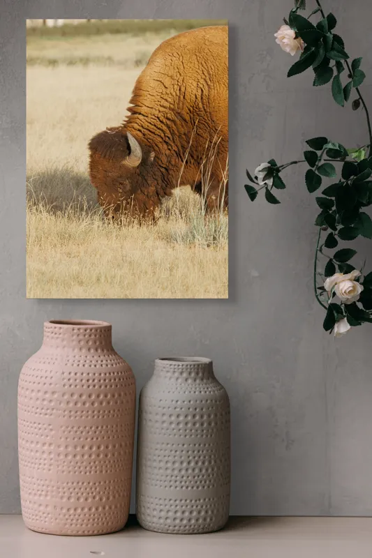 Tablou Canvas, "Bizon pășunând în savana uscată", Bizon, Câmpie, Blană, Corn, Iarbă, 39 x 54 cm – poza 6