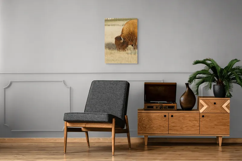Tablou Canvas, "Bizon pășunând în savana uscată", Bizon, Câmpie, Blană, Corn, Iarbă, 50 x 70 cm – poza 8