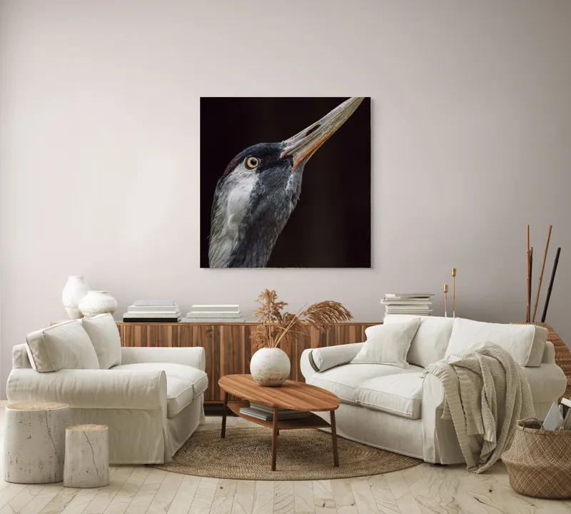 Tablou Canvas, "Grațiozitatea zborului privită de aproape", Pasăre, Profil, Penaj, Ochi, Cioc, Elegant, Întuneric, Contrast., 100 x 100 cm – poza 3