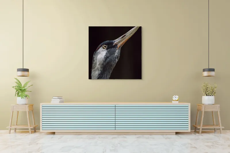 Tablou Canvas, "Grațiozitatea zborului privită de aproape", Pasăre, Profil, Penaj, Ochi, Cioc, Elegant, Întuneric, Contrast., 100 x 100 cm – poza 5