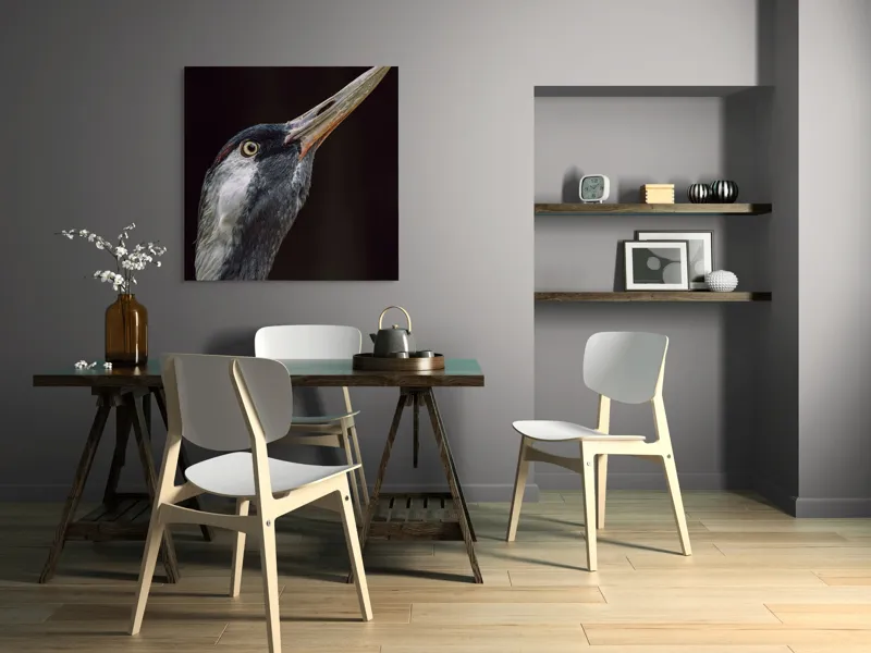 Tablou Canvas, "Grațiozitatea zborului privită de aproape", Pasăre, Profil, Penaj, Ochi, Cioc, Elegant, Întuneric, Contrast., 100 x 100 cm – poza 6
