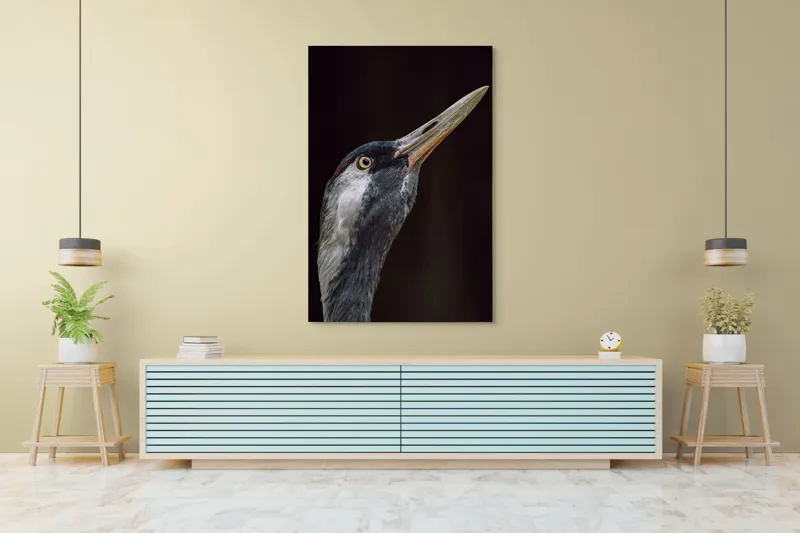 Tablou Canvas, "Grațiozitatea zborului privită de aproape", Pasăre, Profil, Penaj, Ochi, Cioc, Elegant, Întuneric, Contrast., 100 x 150 cm – poza 4