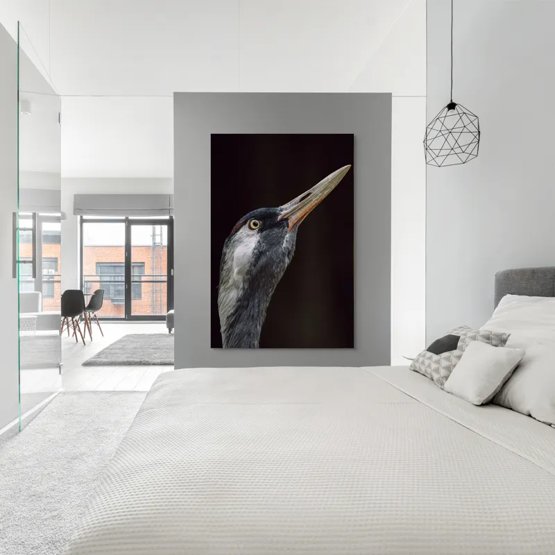 Tablou Canvas, "Grațiozitatea zborului privită de aproape", Pasăre, Profil, Penaj, Ochi, Cioc, Elegant, Întuneric, Contrast., 100 x 150 cm – poza 5