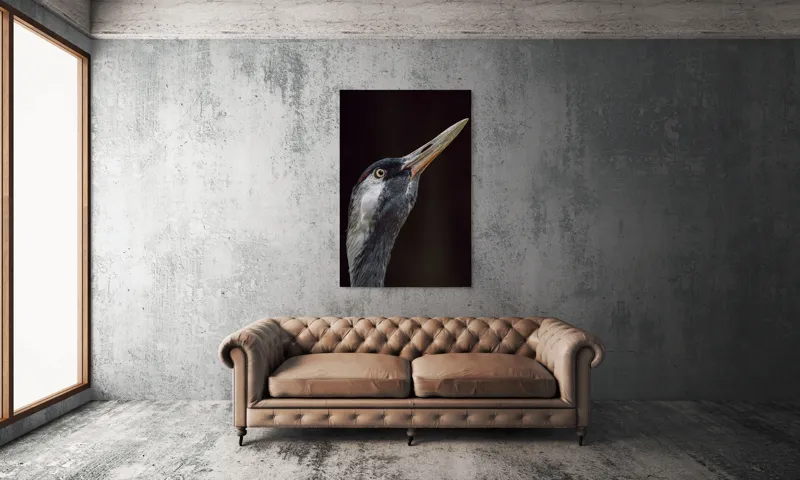 Tablou Canvas, "Grațiozitatea zborului privită de aproape", Pasăre, Profil, Penaj, Ochi, Cioc, Elegant, Întuneric, Contrast., 100 x 150 cm – poza 6
