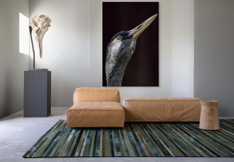 Tablou Canvas, "Grațiozitatea zborului privită de aproape", Pasăre, Profil, Penaj, Ochi, Cioc, Elegant, Întuneric, Contrast., 100 x 150 cm – poza 7