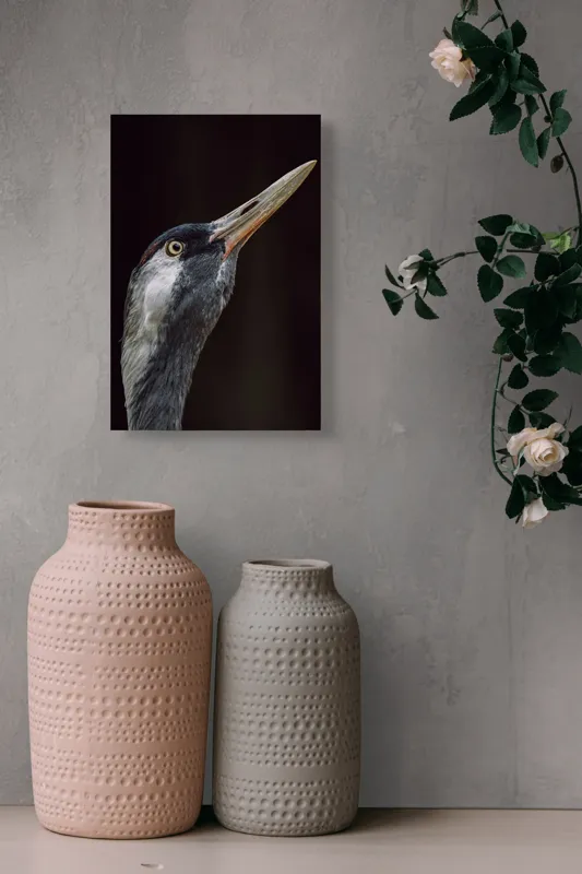 Tablou Canvas, "Grațiozitatea zborului privită de aproape", Pasăre, Profil, Penaj, Ochi, Cioc, Elegant, Întuneric, Contrast., 26 x 39 cm – poza 6