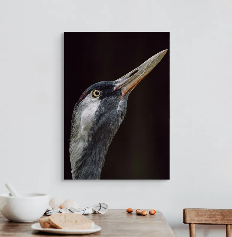 Tablou Canvas, "Grațiozitatea zborului privită de aproape", Pasăre, Profil, Penaj, Ochi, Cioc, Elegant, Întuneric, Contrast., 50 x 70 cm – poza 3