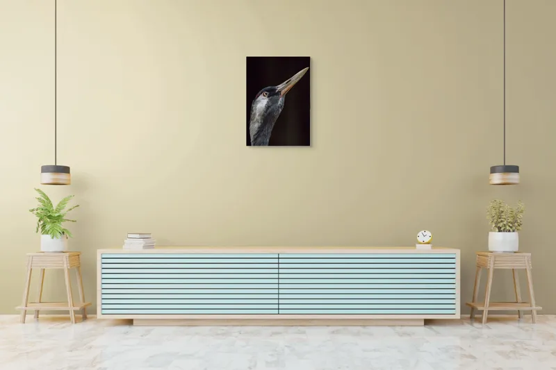 Tablou Canvas, "Grațiozitatea zborului privită de aproape", Pasăre, Profil, Penaj, Ochi, Cioc, Elegant, Întuneric, Contrast., 50 x 70 cm – poza 6