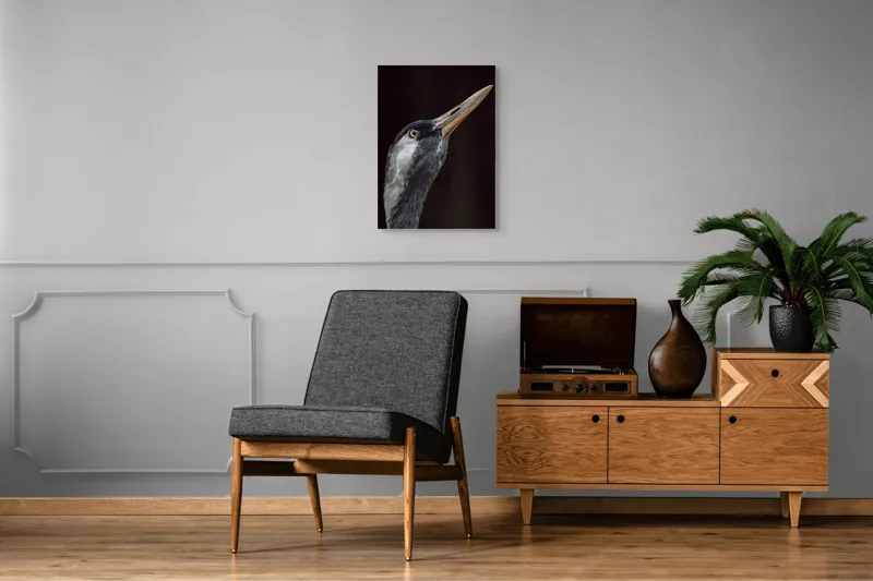 Tablou Canvas, "Grațiozitatea zborului privită de aproape", Pasăre, Profil, Penaj, Ochi, Cioc, Elegant, Întuneric, Contrast., 50 x 70 cm – poza 8