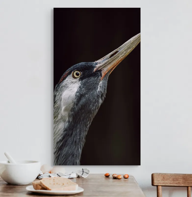 Tablou Canvas, "Grațiozitatea zborului privită de aproape", Pasăre, Profil, Penaj, Ochi, Cioc, Elegant, Întuneric, Contrast., 50 x 90 cm – poza 3