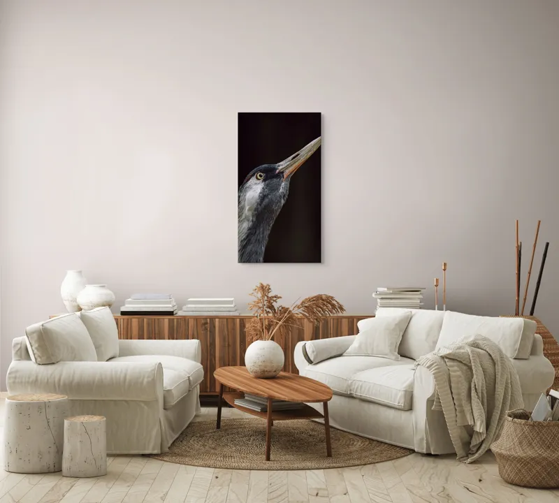 Tablou Canvas, "Grațiozitatea zborului privită de aproape", Pasăre, Profil, Penaj, Ochi, Cioc, Elegant, Întuneric, Contrast., 50 x 90 cm – poza 7