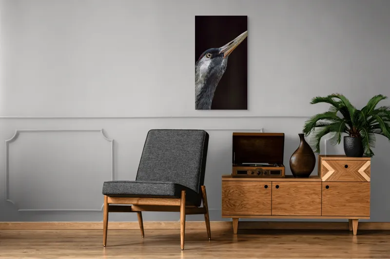 Tablou Canvas, "Grațiozitatea zborului privită de aproape", Pasăre, Profil, Penaj, Ochi, Cioc, Elegant, Întuneric, Contrast., 50 x 90 cm – poza 8