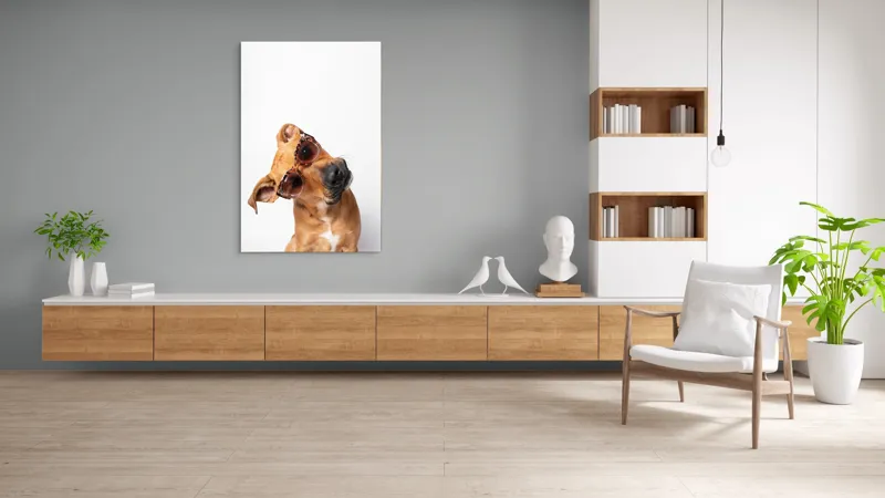 Tablou Canvas, "Câine cu ochelari de soare eleganți", Câine, Ochelari, Maro, Urechi, Înclinat, Fundal, Alb, Expresiv, Haioasă, 100 x 150 cm – poza 8