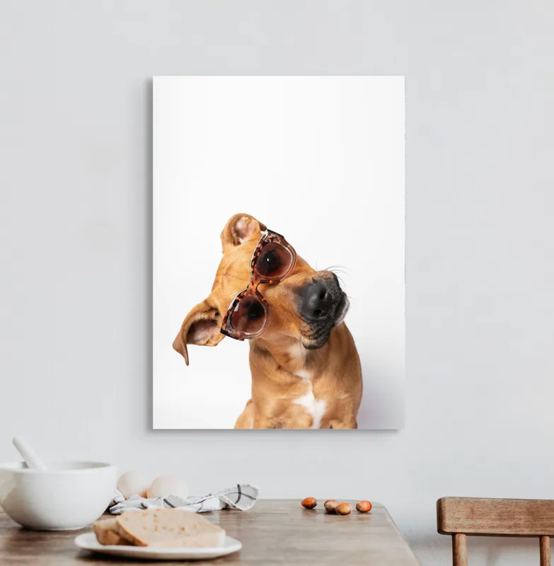 Tablou Canvas, "Câine cu ochelari de soare eleganți", Câine, Ochelari, Maro, Urechi, Înclinat, Fundal, Alb, Expresiv, Haioasă, 50 x 70 cm – poza 3