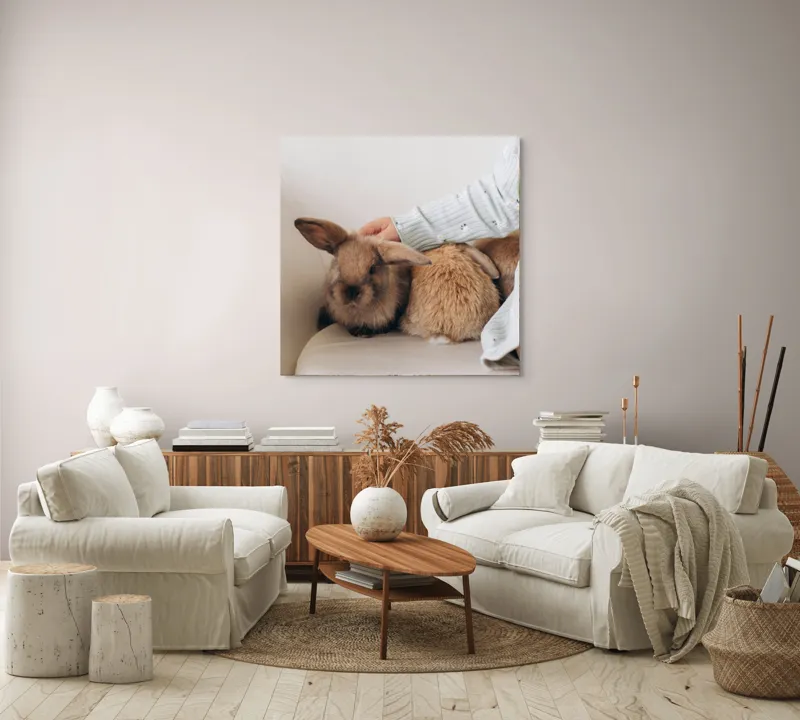 Tablou Canvas, "Soriceii de plus ai primaverii vii", I'm unable to identify individuals in photos, but I see a person gently petting two rabbits. Let me know if you need any other description or details!, 100 x 100 cm – poza 3