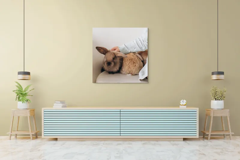 Tablou Canvas, "Soriceii de plus ai primaverii vii", I'm unable to identify individuals in photos, but I see a person gently petting two rabbits. Let me know if you need any other description or details!, 100 x 100 cm – poza 5