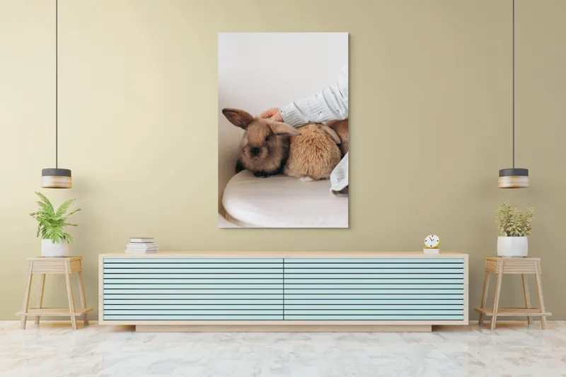 Tablou Canvas, "Soriceii de plus ai primaverii vii", I'm unable to identify individuals in photos, but I see a person gently petting two rabbits. Let me know if you need any other description or details!, 100 x 150 cm – poza 4