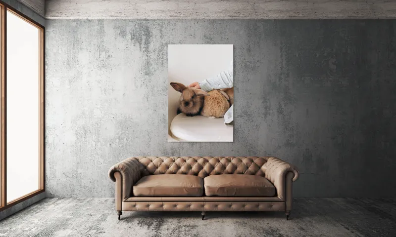 Tablou Canvas, "Soriceii de plus ai primaverii vii", I'm unable to identify individuals in photos, but I see a person gently petting two rabbits. Let me know if you need any other description or details!, 100 x 150 cm – poza 6