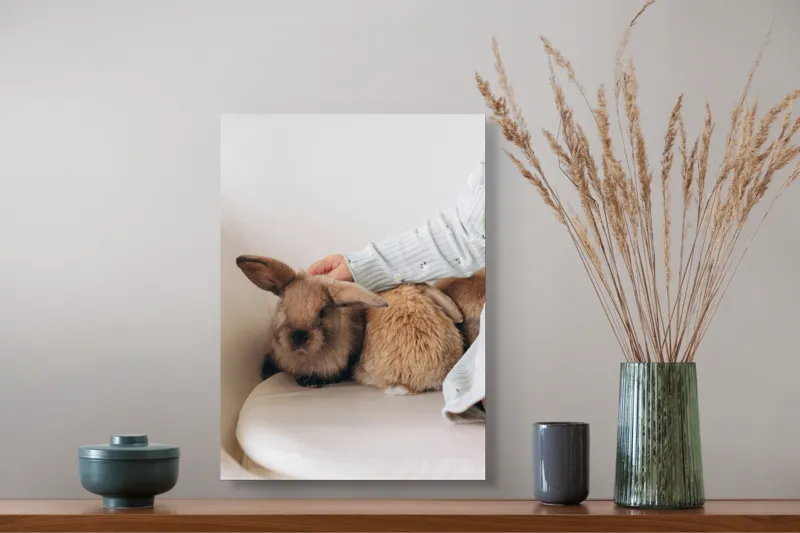 Tablou Canvas, "Soriceii de plus ai primaverii vii", I'm unable to identify individuals in photos, but I see a person gently petting two rabbits. Let me know if you need any other description or details!, 39 x 54 cm – poza 3