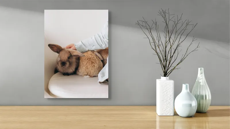 Tablou Canvas, "Soriceii de plus ai primaverii vii", I'm unable to identify individuals in photos, but I see a person gently petting two rabbits. Let me know if you need any other description or details!, 39 x 54 cm – poza 4