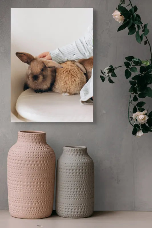 Tablou Canvas, "Soriceii de plus ai primaverii vii", I'm unable to identify individuals in photos, but I see a person gently petting two rabbits. Let me know if you need any other description or details!, 39 x 54 cm – poza 6