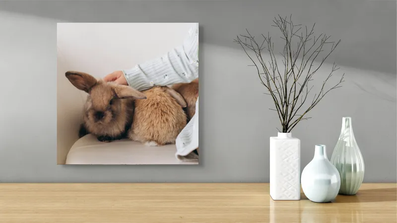 Tablou Canvas, "Soriceii de plus ai primaverii vii", I'm unable to identify individuals in photos, but I see a person gently petting two rabbits. Let me know if you need any other description or details!, 50 x 50 cm – poza 3