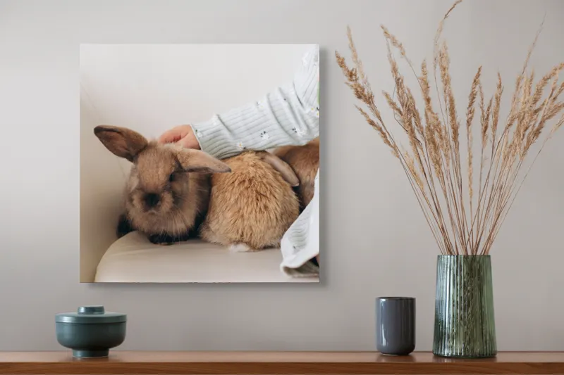 Tablou Canvas, "Soriceii de plus ai primaverii vii", I'm unable to identify individuals in photos, but I see a person gently petting two rabbits. Let me know if you need any other description or details!, 50 x 50 cm – poza 4