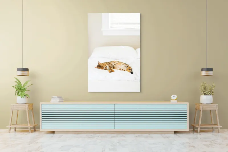 Tablou Canvas, "Pisica bengaleză dormitând pe pat alb", Relaxare, Pisică, Pat, Confort, Odihnă, Lumină, Somn, Leneveală, 100 x 150 cm – poza 4